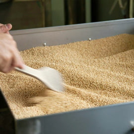 Toasted White Sesame Seeds - 炒りごま　白 - 50g