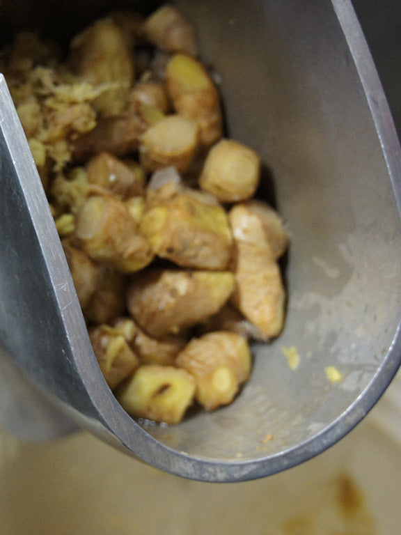 Torii Spicy Ginger Syrup - ジンジャーシロップ - 200ml