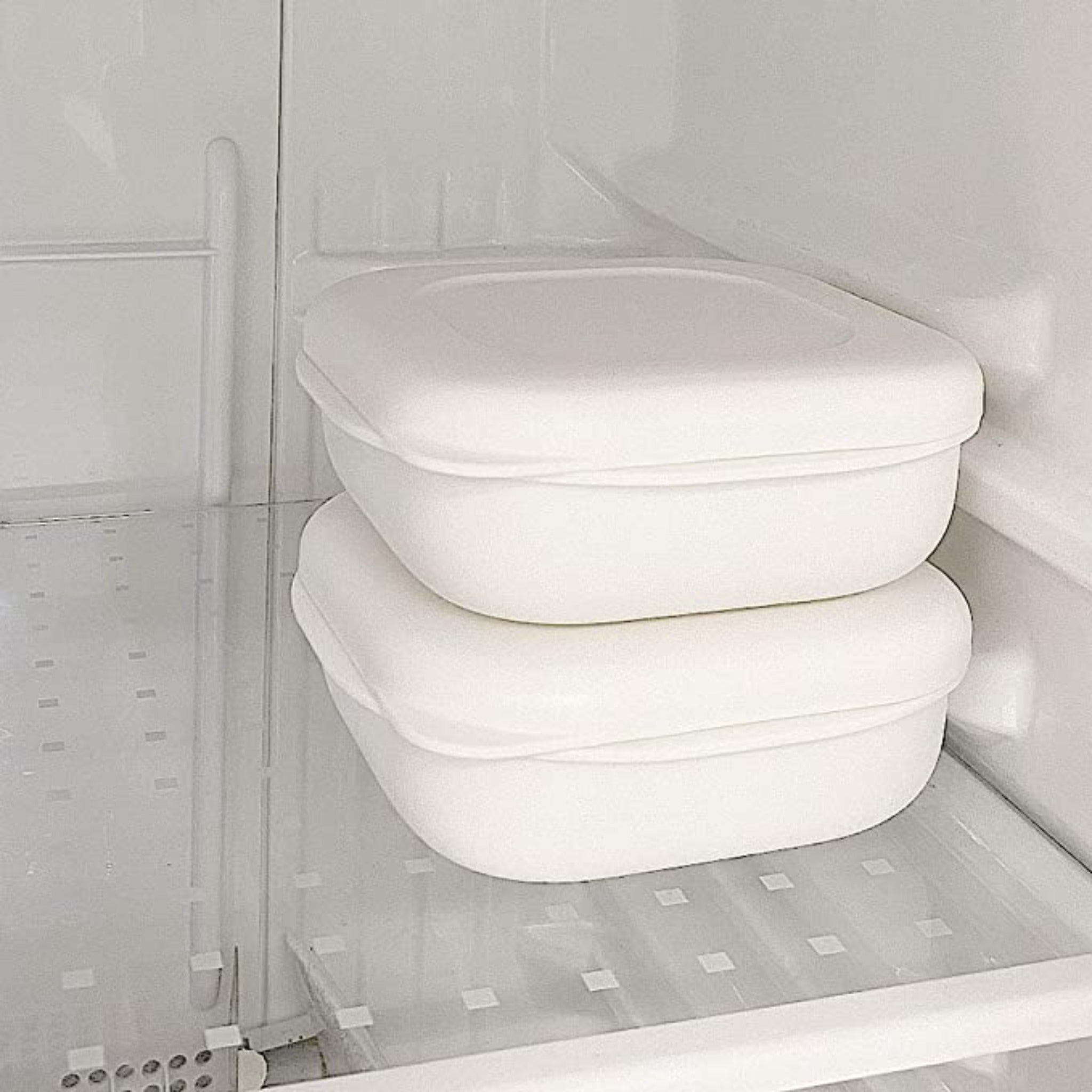 【MARNA】Rice Container for Freezer 2 pcs -冷凍ごはん容器 2個入り-