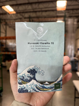 Murasaki Fioretto seeds - 紫フィオレットの種 -  (25 seeds)