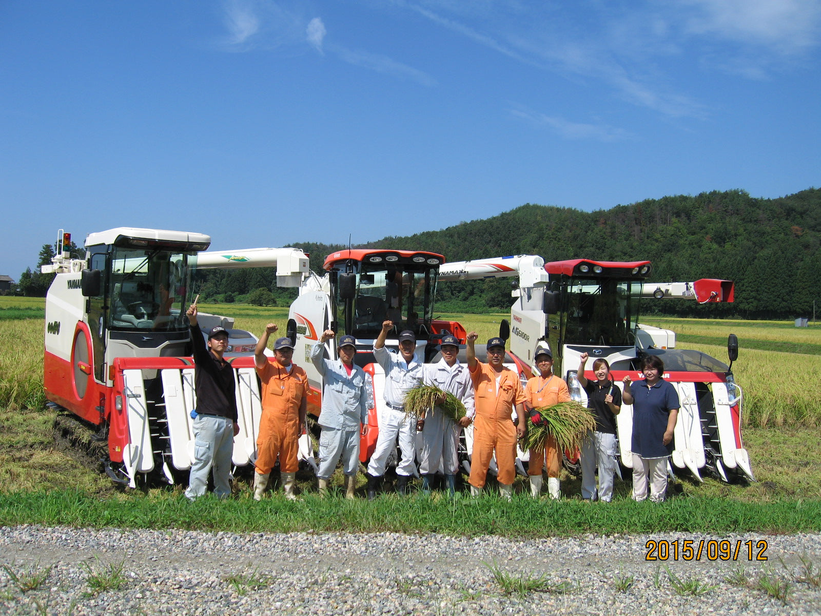 Niigata Koshiibuki -新潟 こしいぶき- 2024 Crop