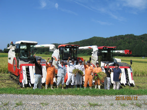 【BFCM sale】Niigata Koshiibuki -新潟 こしいぶき- 2024 Crop