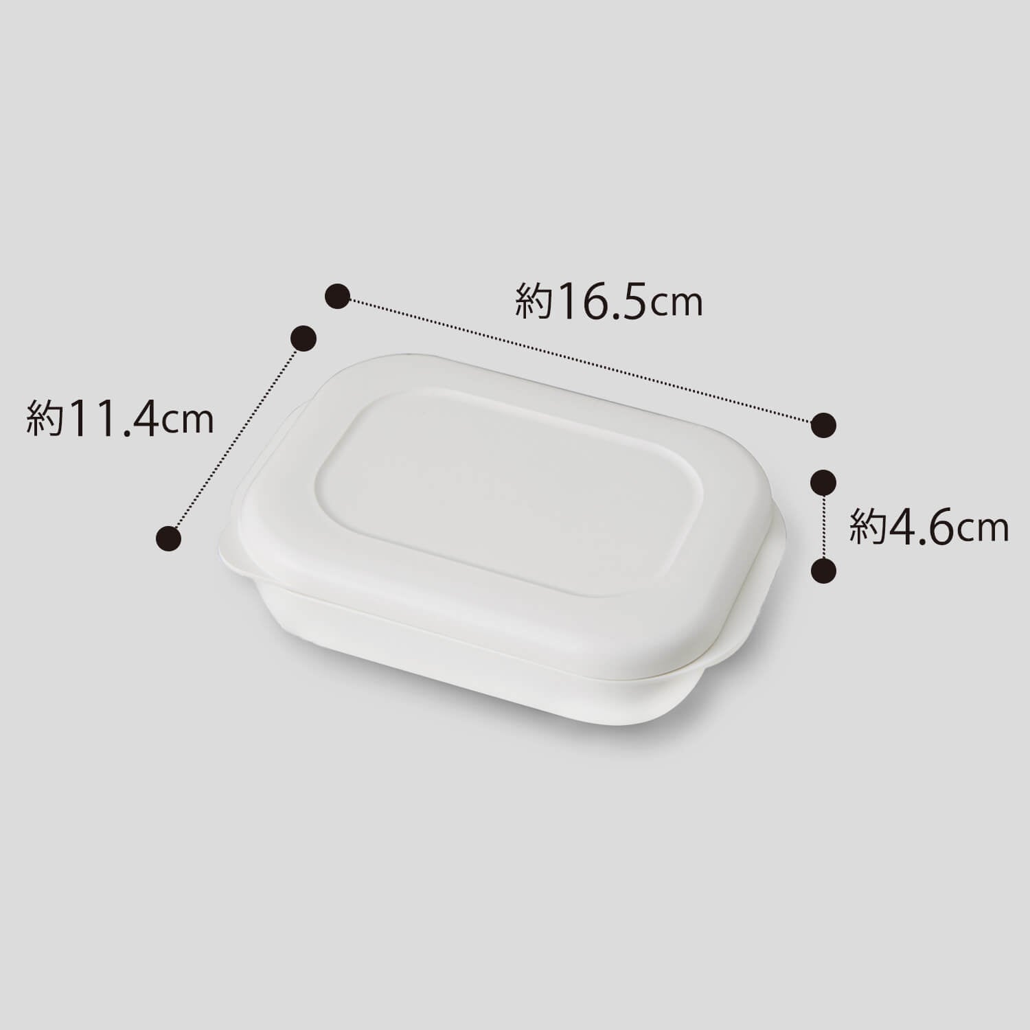 Rice Container for Freezer 1 pc