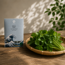 Mitsuba 'Kanto' Seeds - 関東三つ葉の種  - 250 seeds-5