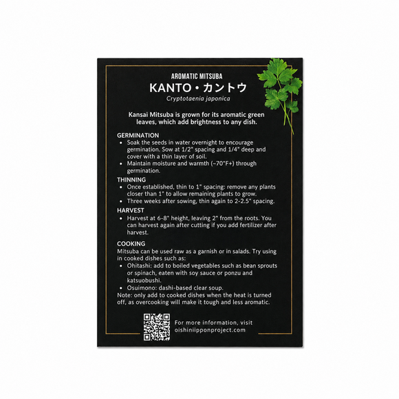 Mitsuba 'Kanto' Seeds - 関東三つ葉の種  - 250 seeds