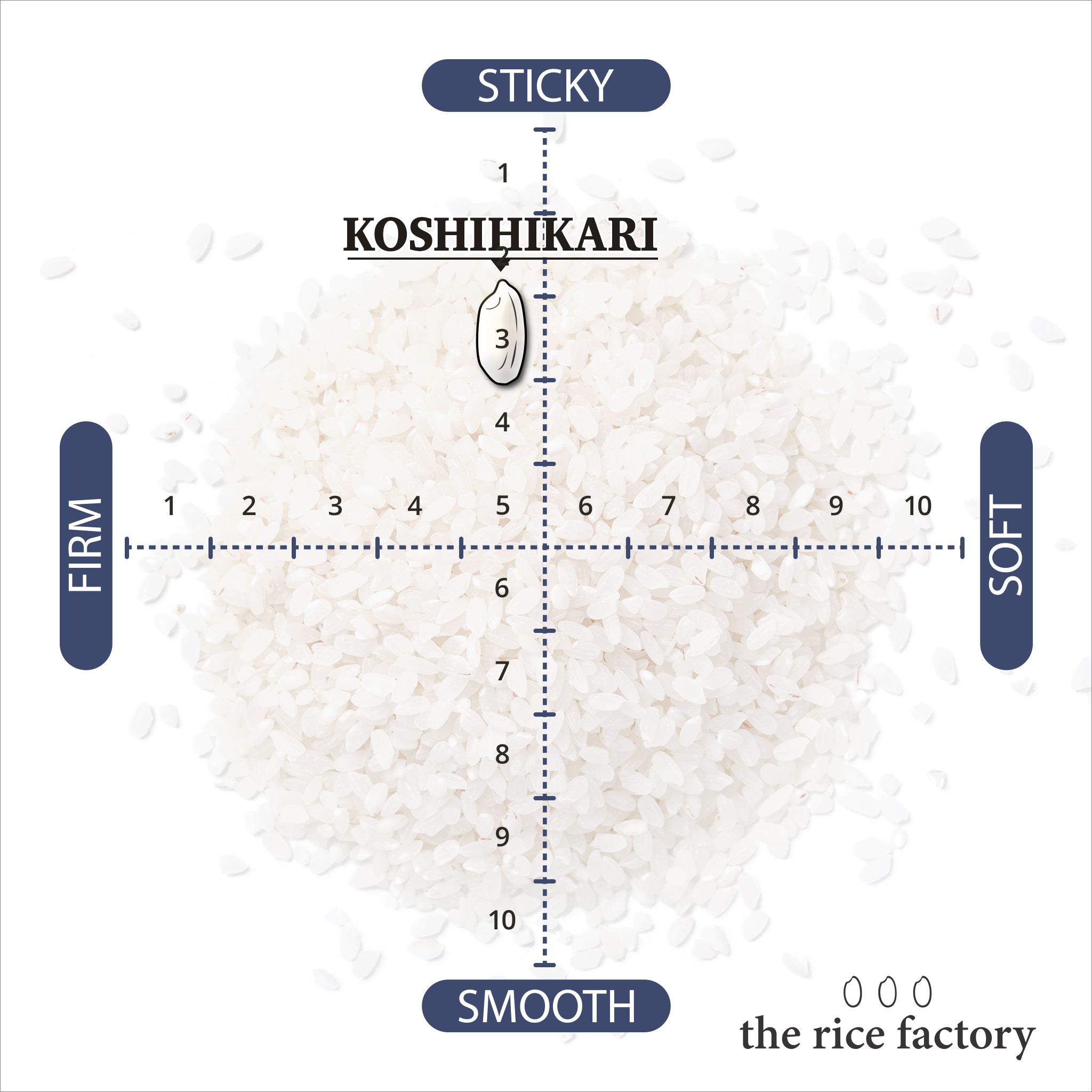 Koshihikari - Toyama