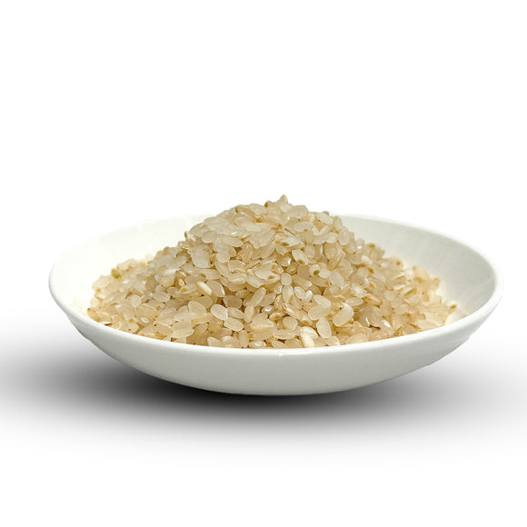 Niigata Koshihikari -新潟 こしひかり- 2025 Crop