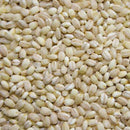 【MORIKA】Millet ”Pearl Barley” -もち麦- 150g