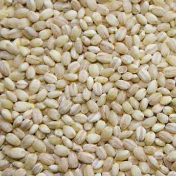 【MORIKA】Millet ”Pearl Barley” -もち麦- 150g