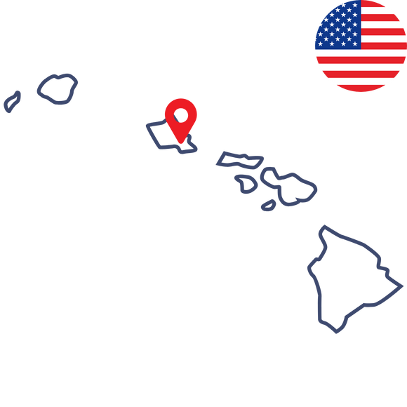 the rice factory hawaii