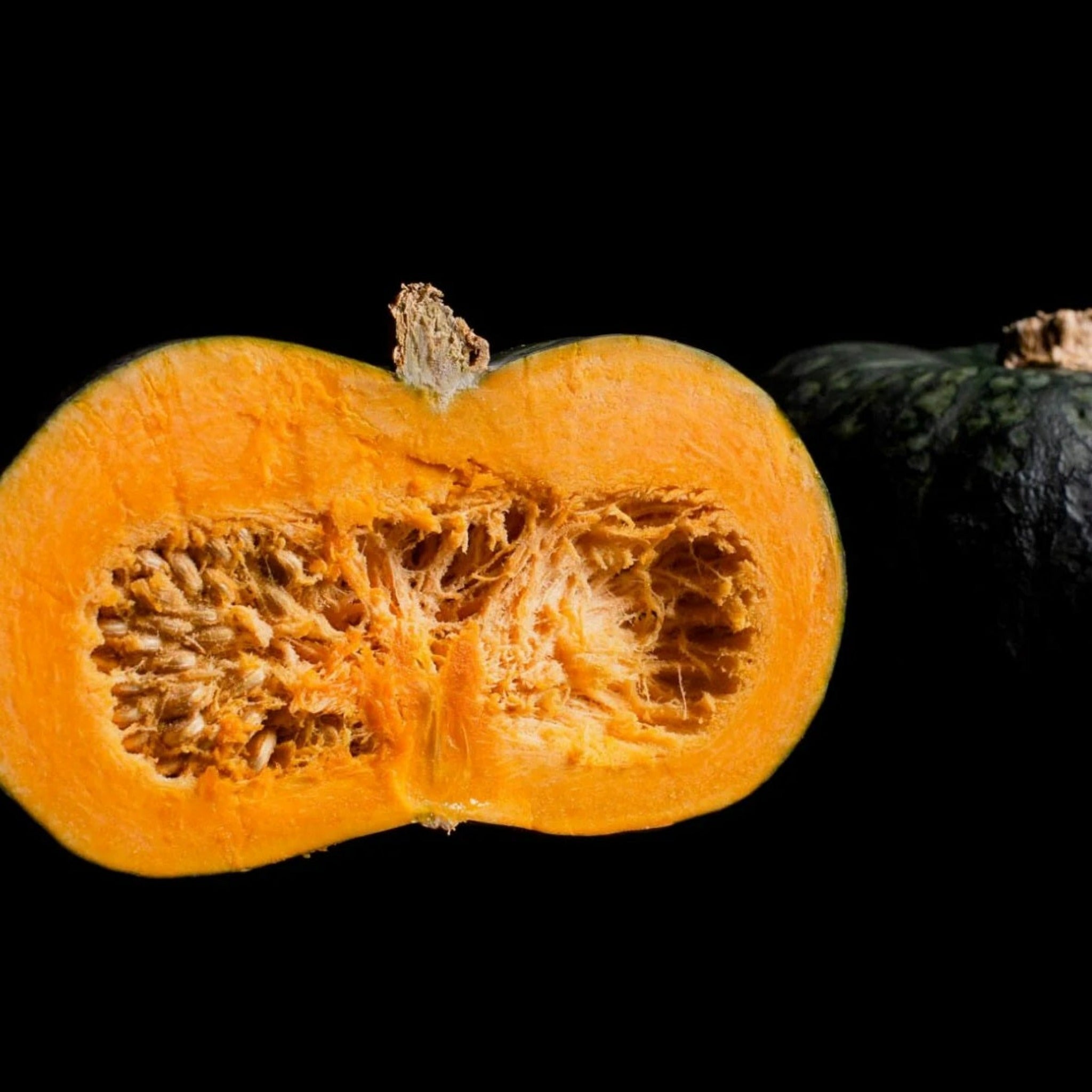 Zuccuri Kabocha 9 seeds - ズックリカボチャ