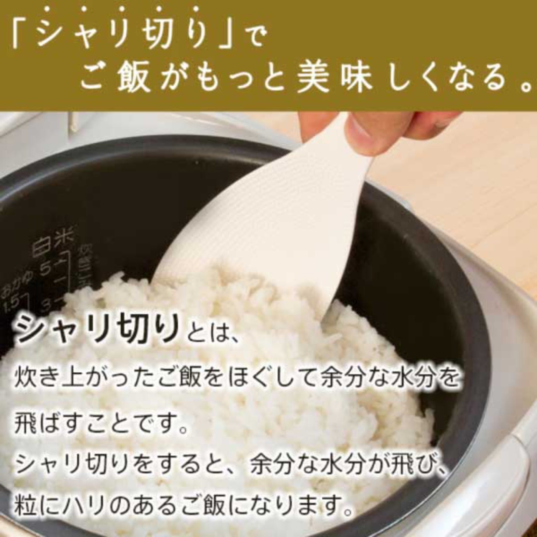 【MARNA】Rice Scoop "Extreme" -極しゃもじ-