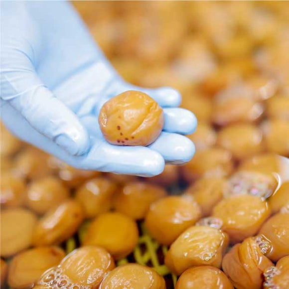 【FUKAMI】Salt Plums "Light Salty"【Japanese Organic】-有機梅干し うすしお味- 100g