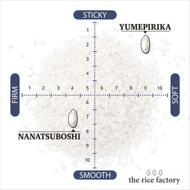トライアルセット